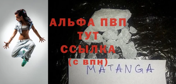 спиды Вяземский