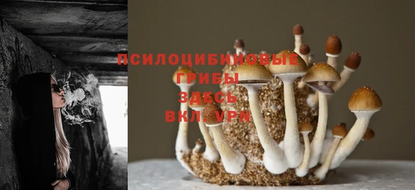 MESCALINE Волосово