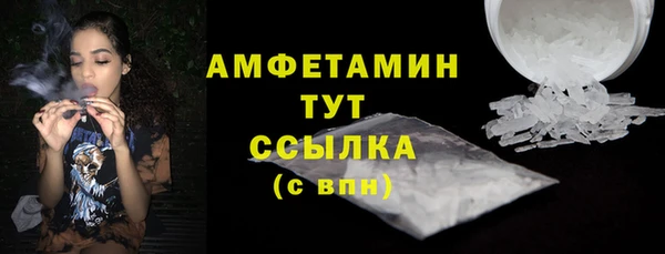 гидра Горнозаводск