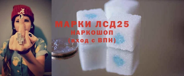 спиды Вяземский