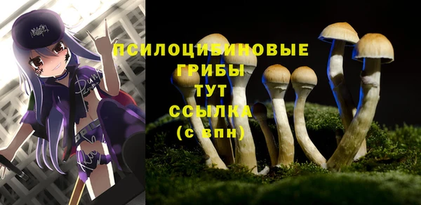 круглые Вязьма