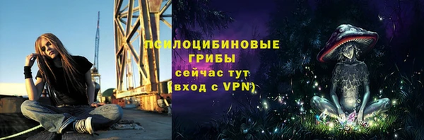 спиды Вяземский