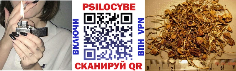 Галлюциногенные грибы Psilocybe  Купить  Обь 